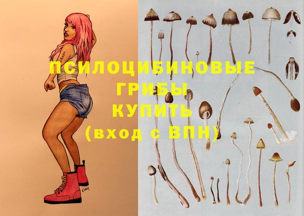 дурь Зерноград