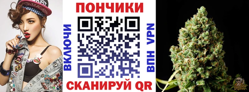 Купить закладки  Кулебаки  Конопля White Widow 